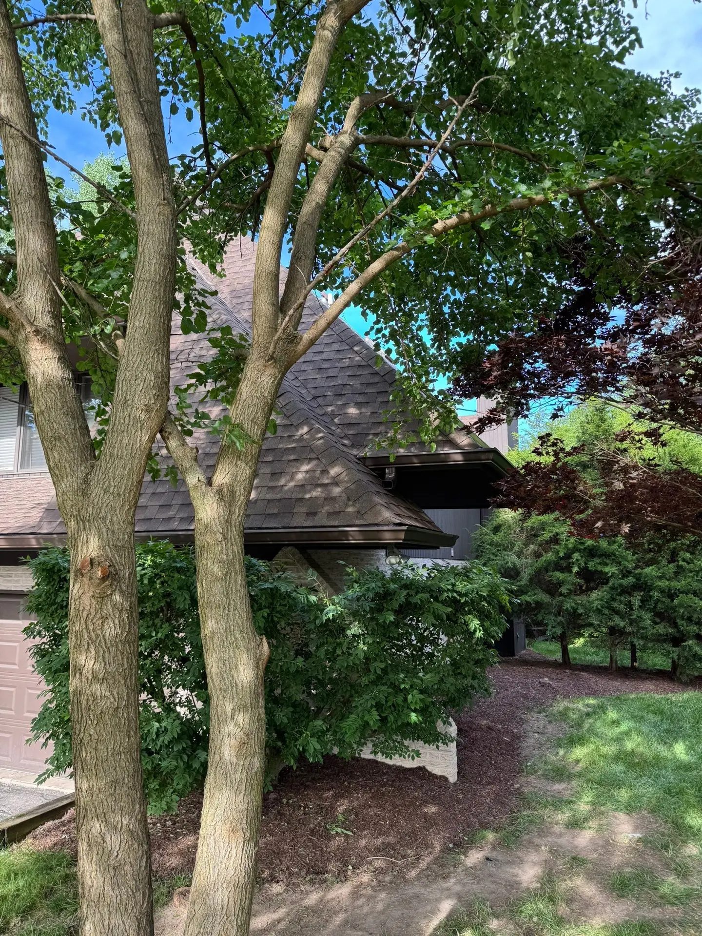 Roof and gutters replacement — photo 4