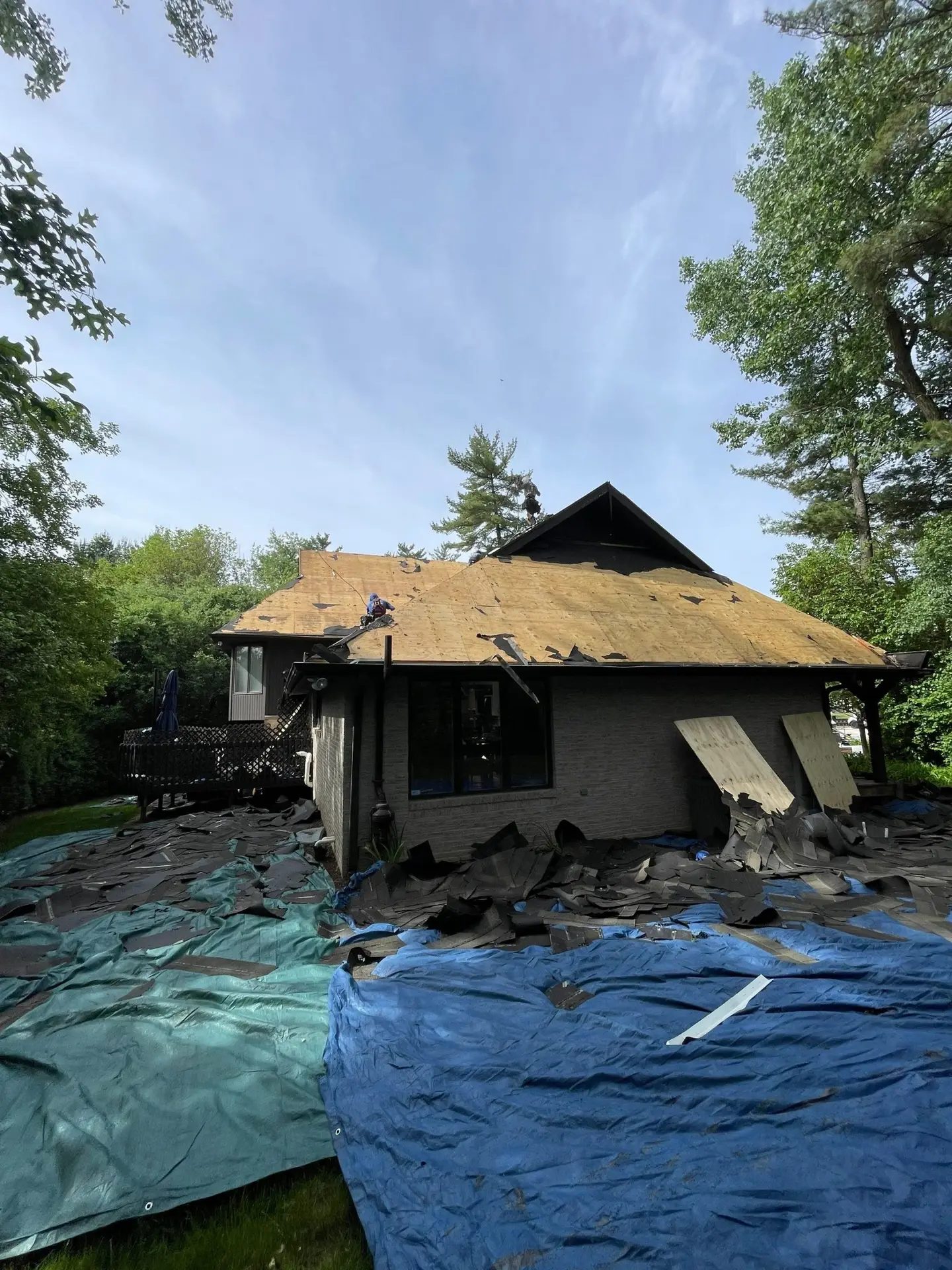 Roof and gutters replacement — photo 9